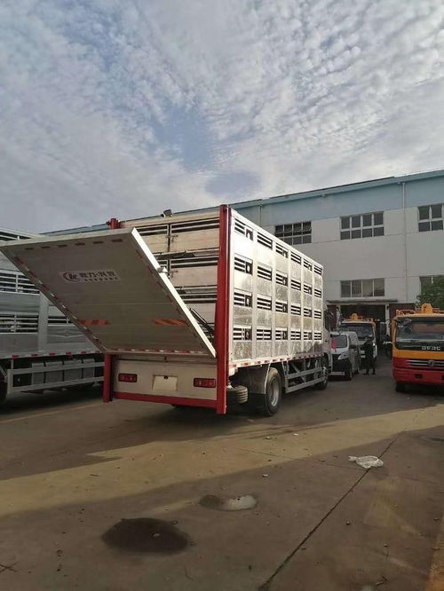 東風天龍畜禽運輸車 高效運輸解決方案，龍南運豬車靈活分期購