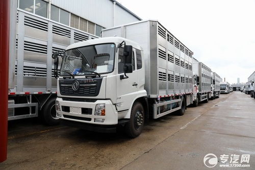 華容9米6畜禽運輸車 程力汽車全國直銷，專業運輸新選擇